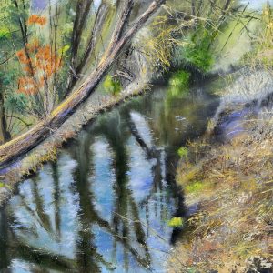 The River Darent Adjacent to the Outdoor Theatre, Dartford