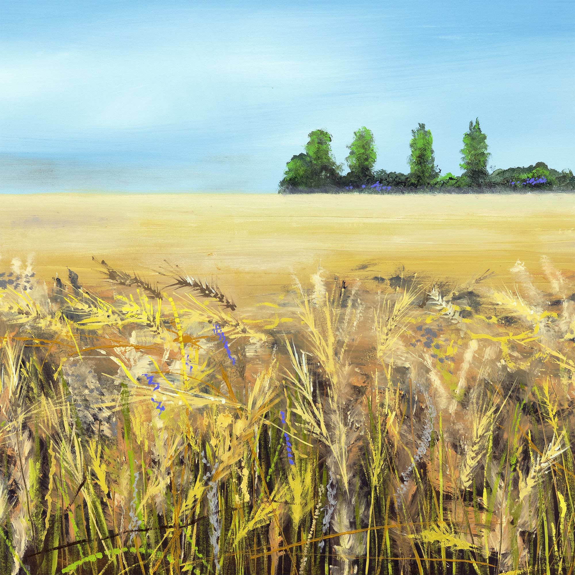 Across the fields at Barn End Lane