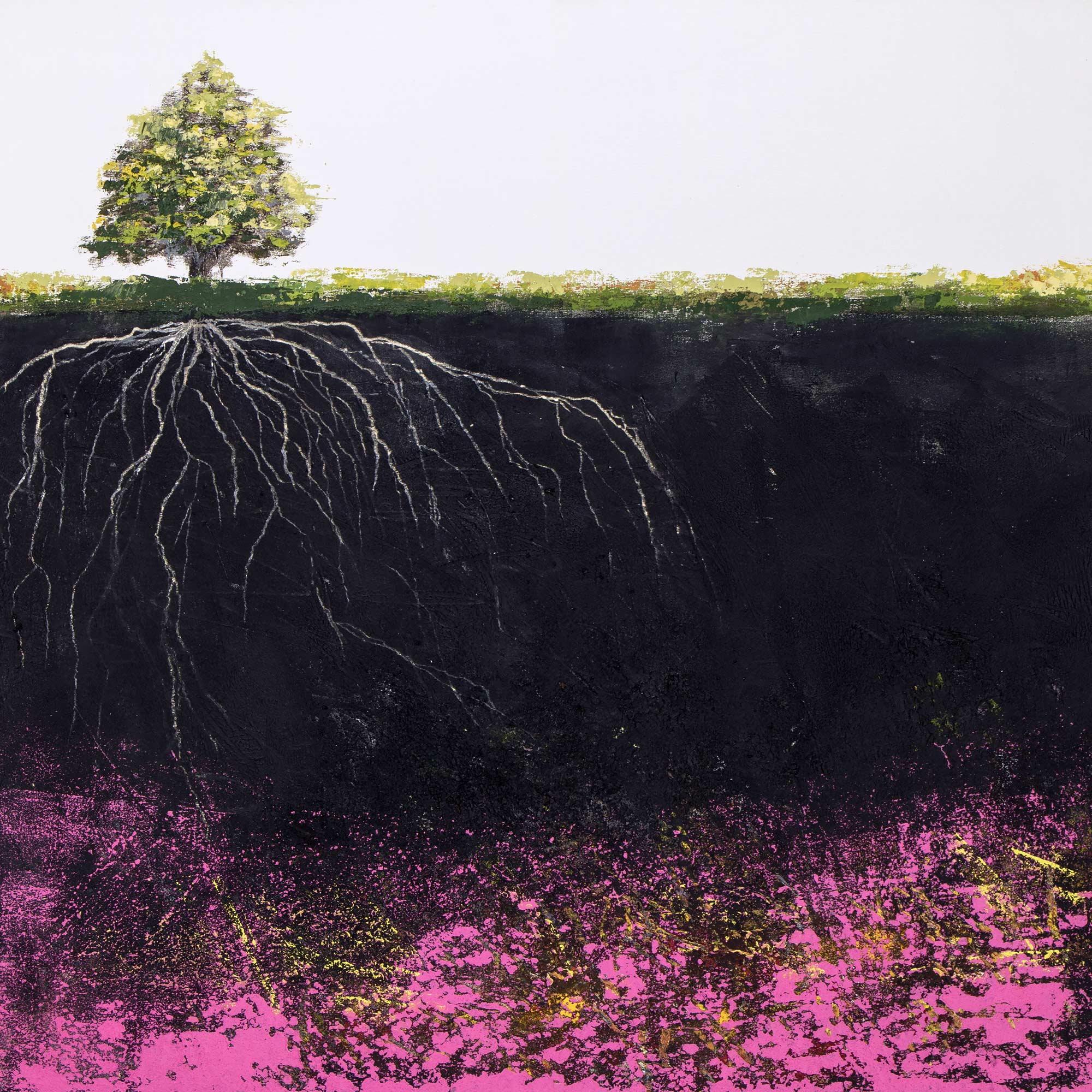Beneath the Grass