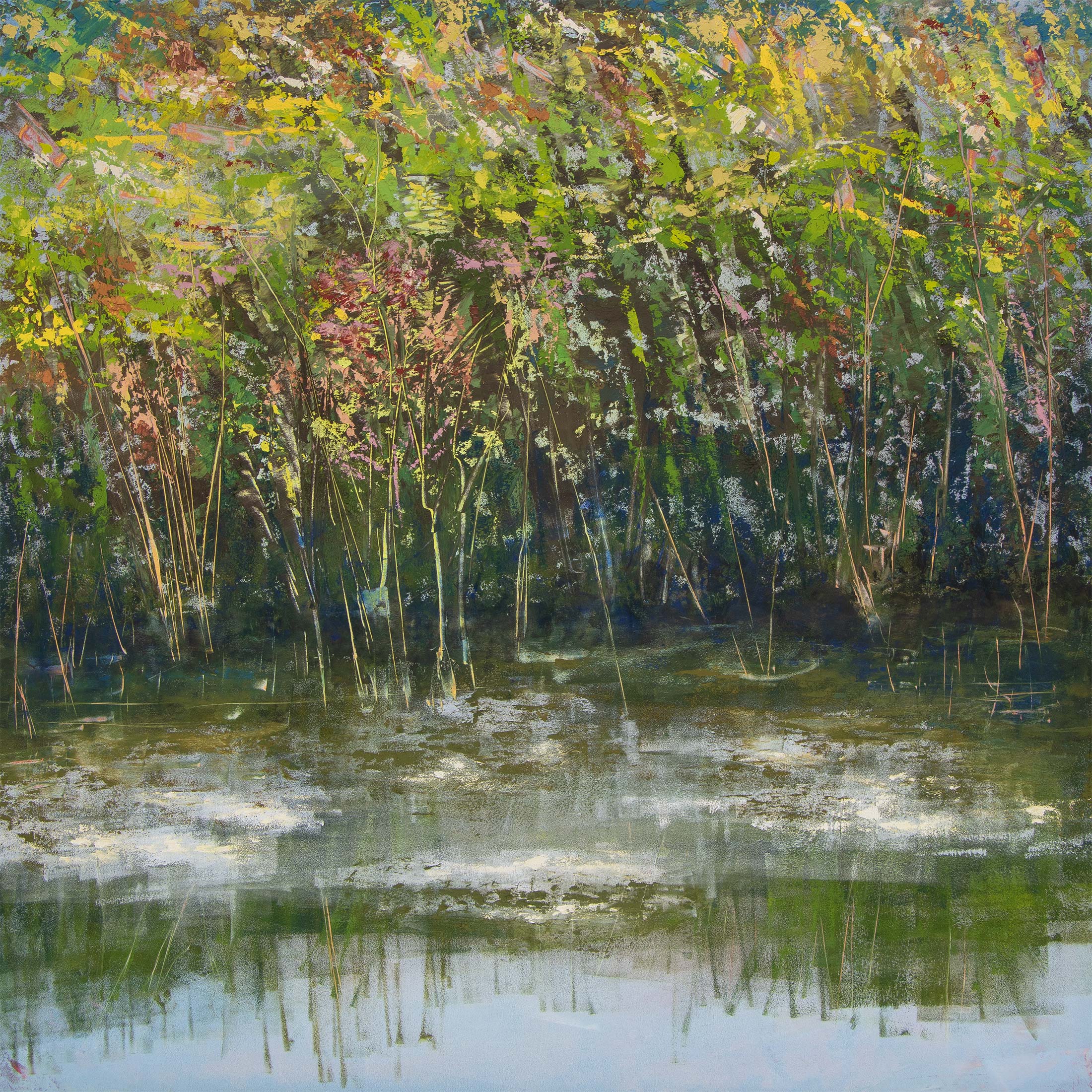 Duck Pond at Botany Marsh