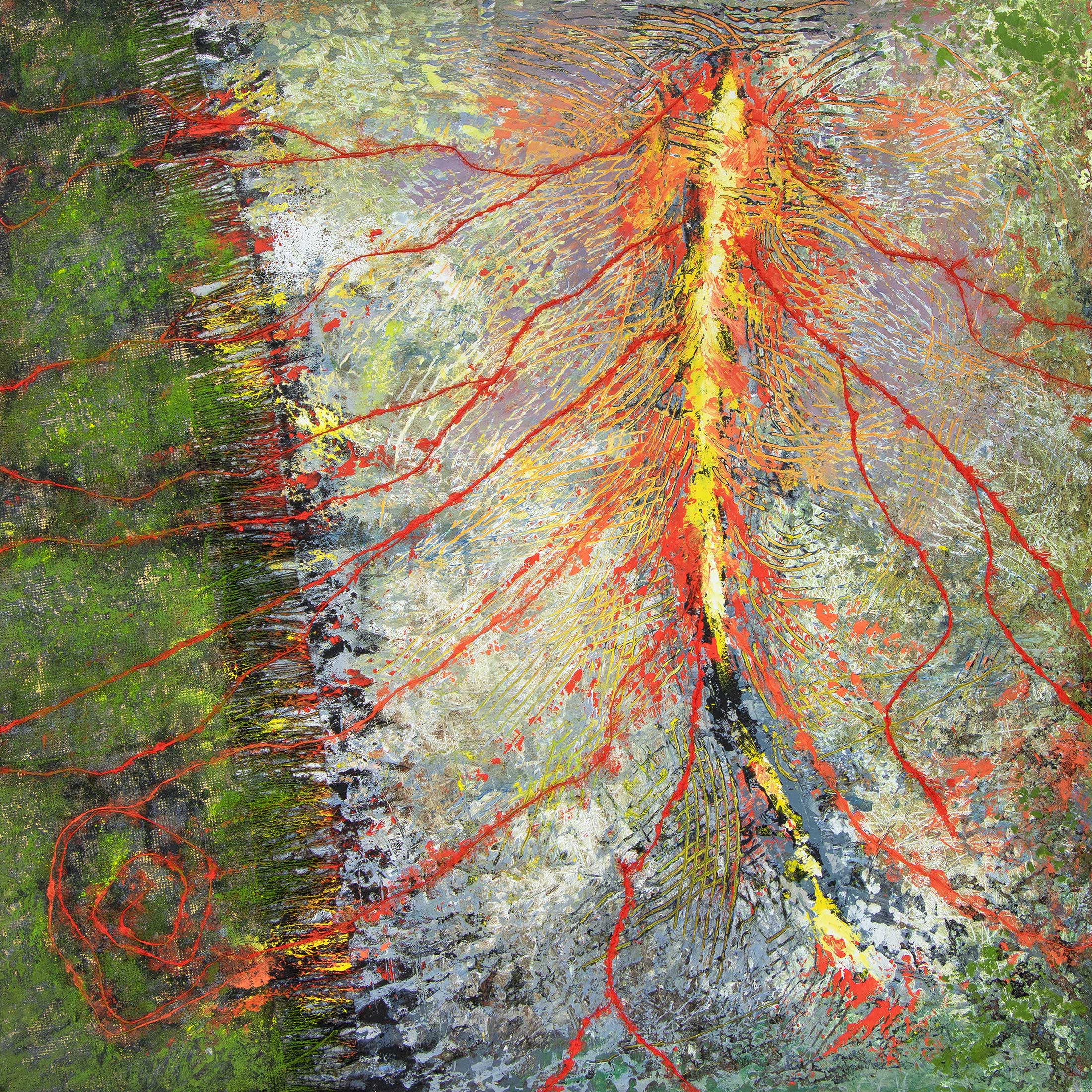 Fissure