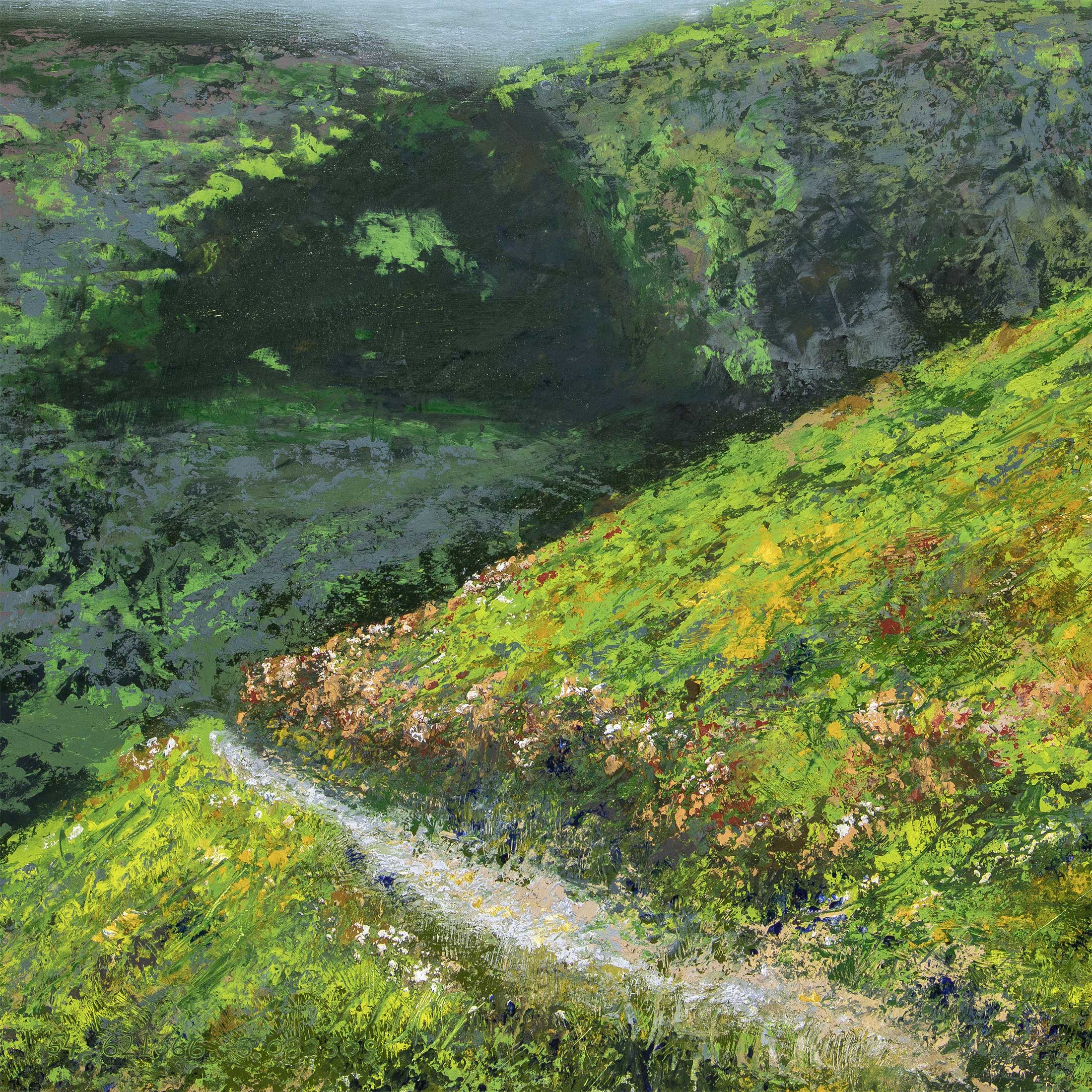 Footpath on Blencathra