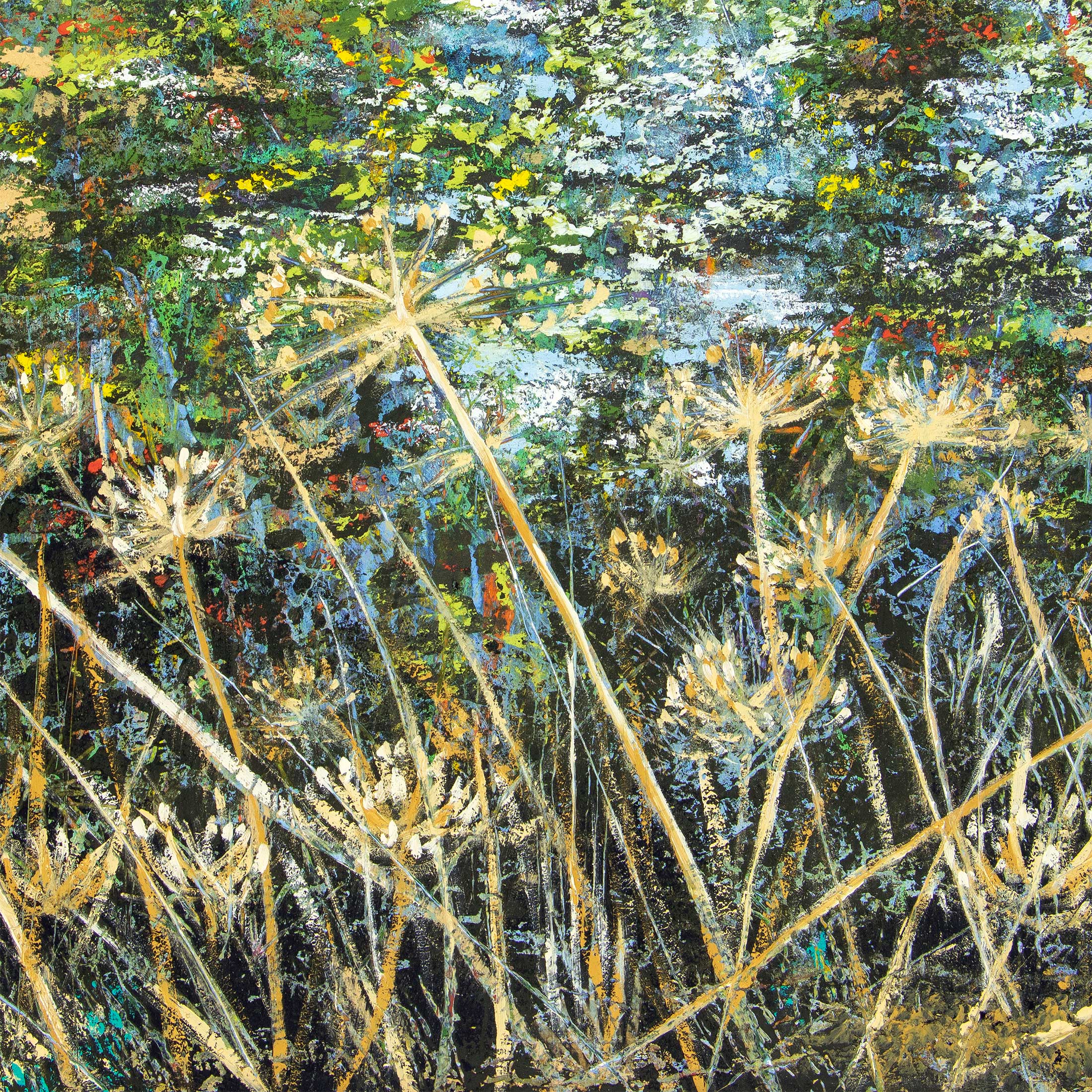 Hogweed beside the Darent
