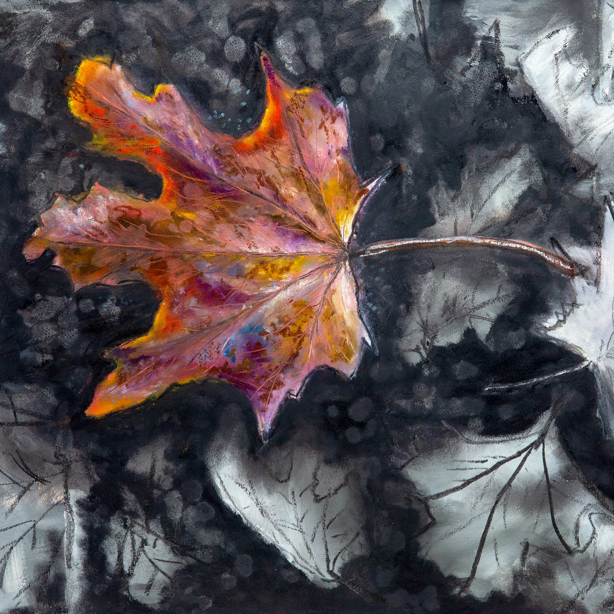 Leaf Litter