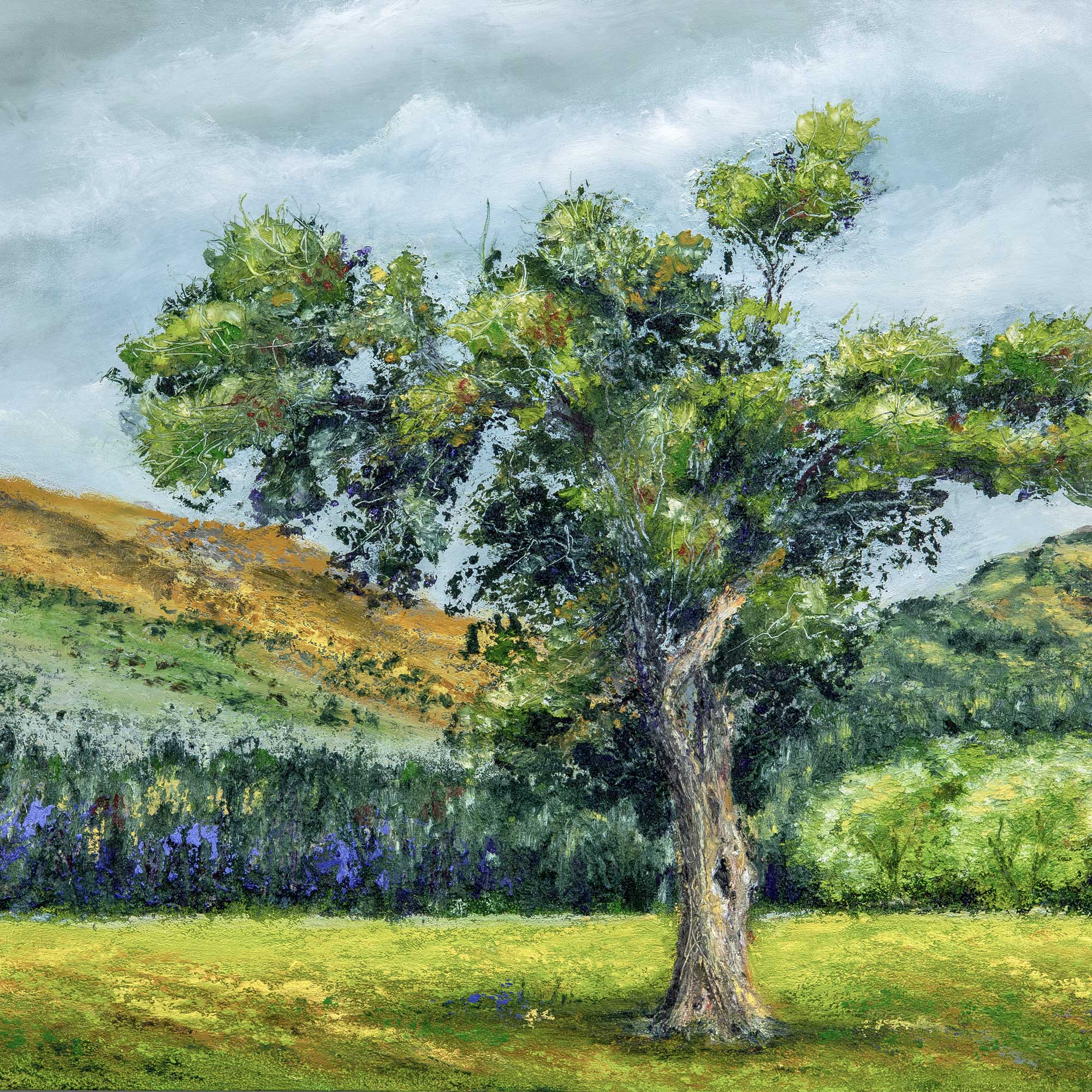 Mirehouse One Tree