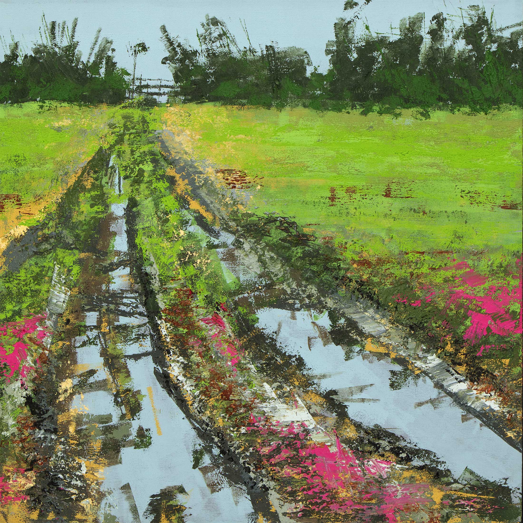Muddy Track Off Shirehall Road II