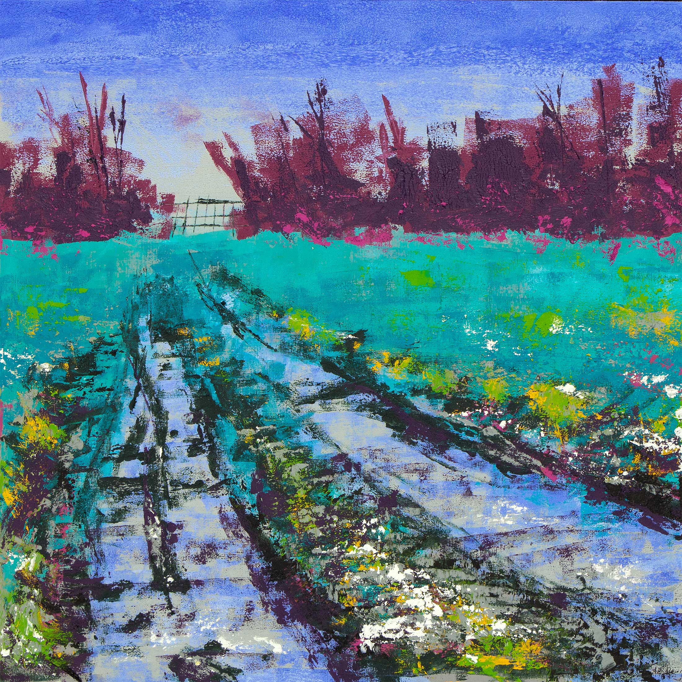 Muddy Track Off Shirehall Road III