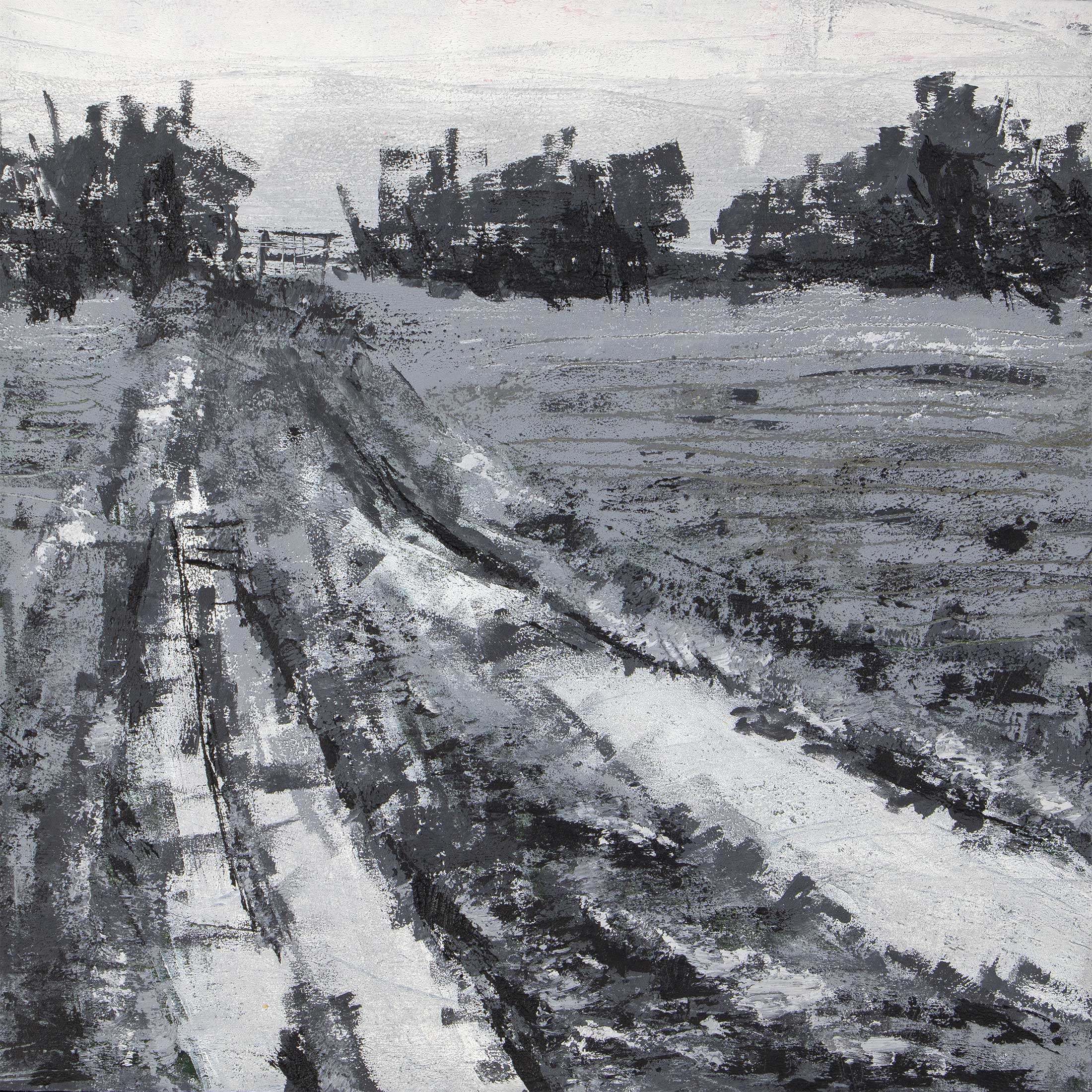 Muddy Track Off Shirehall Road IV