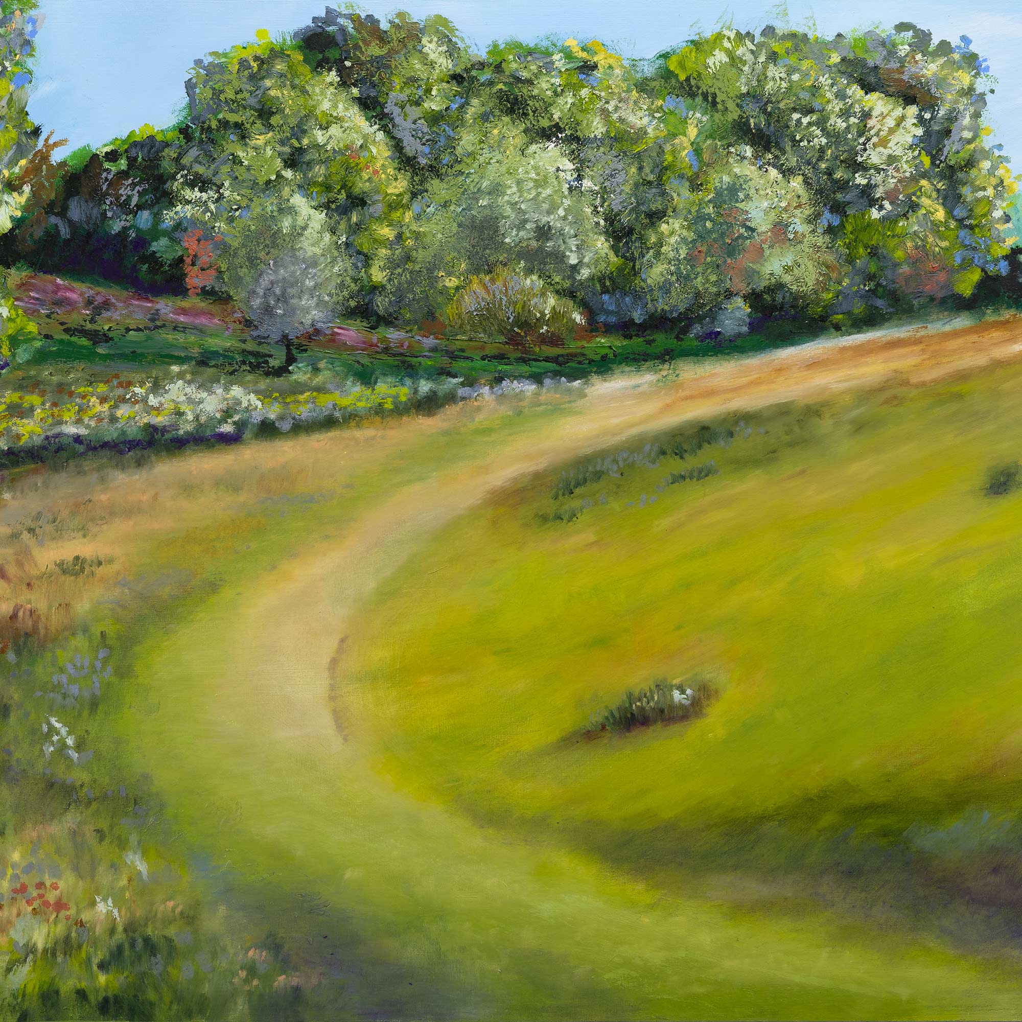 Pathway at Knole Park