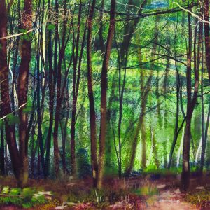 Upper Beechen Wood, Lullingstone Park