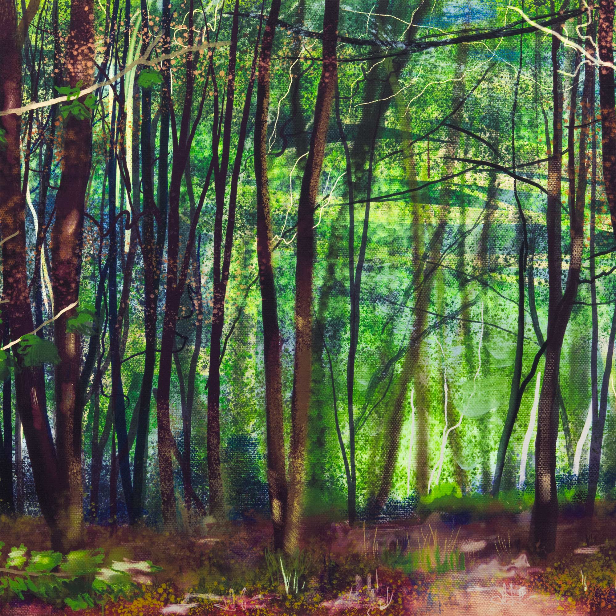 Upper Beechen Wood, Lullingstone Country Park