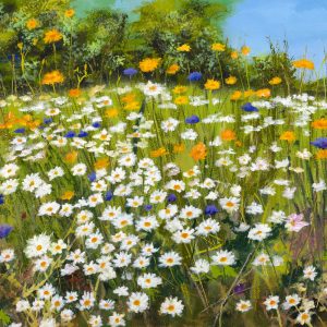 Wildflower Meadow at Darenth Country Park
